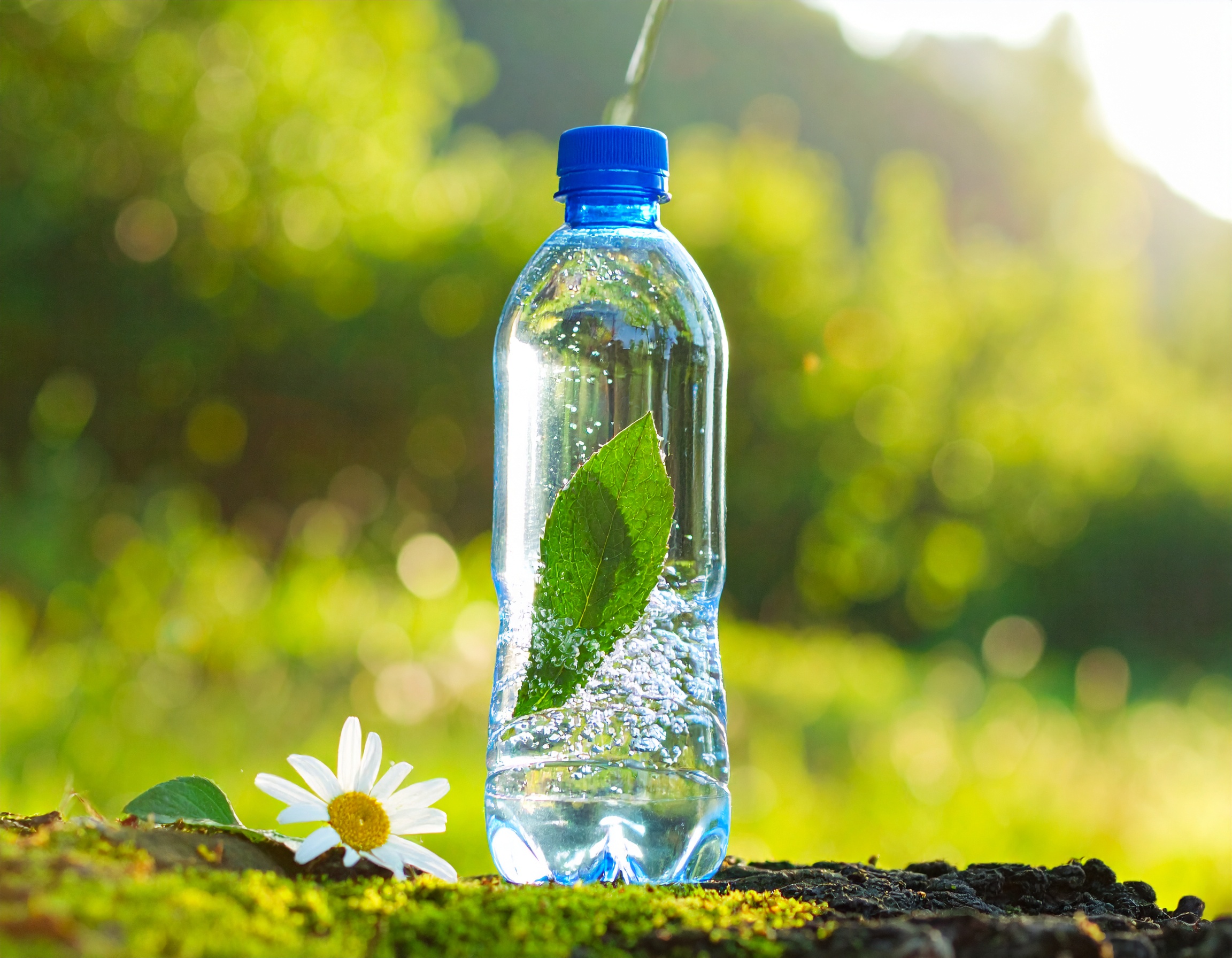 Hydration